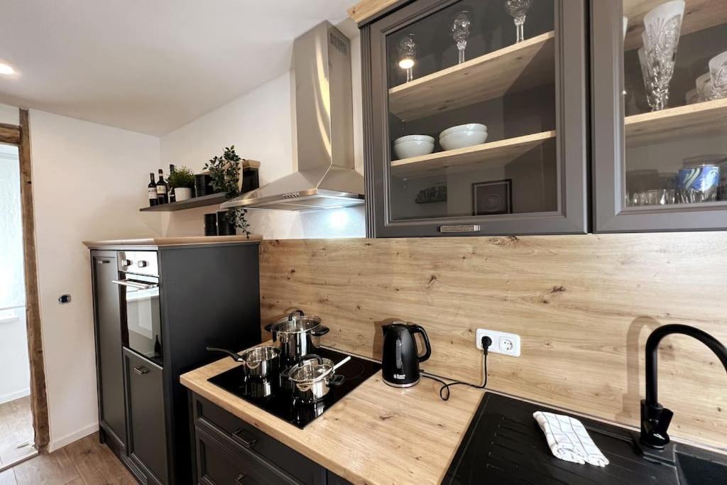 Ar Apartments III I 4 Pers I Modern I Schillerapartment Rudolstadt Exteriör bild
